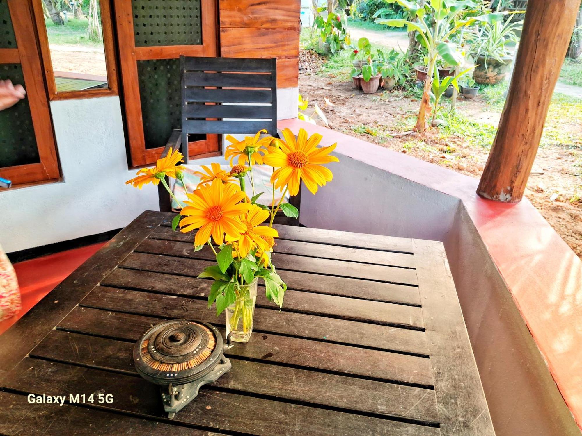 Sea Sound Cabana & Restaurant Tangalle Exterior photo